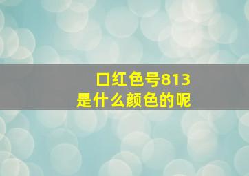 口红色号813是什么颜色的呢