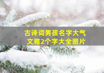 古诗词男孩名字大气文雅2个字大全图片