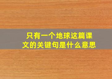 只有一个地球这篇课文的关键句是什么意思