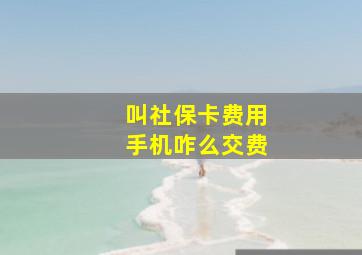 叫社保卡费用手机咋么交费