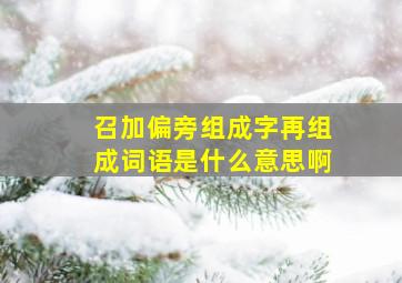 召加偏旁组成字再组成词语是什么意思啊