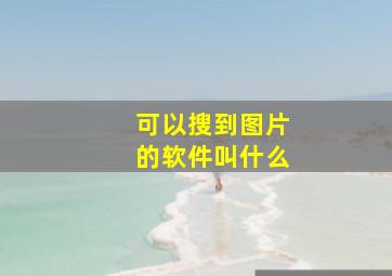 可以搜到图片的软件叫什么