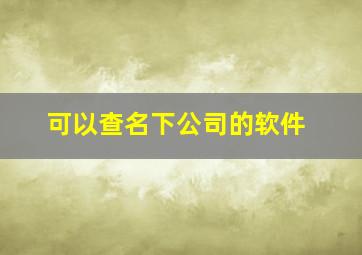 可以查名下公司的软件