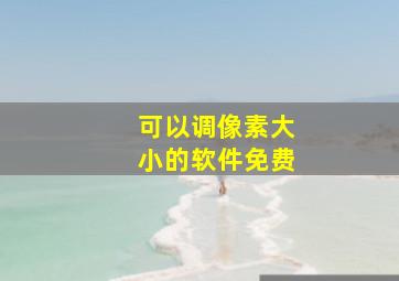 可以调像素大小的软件免费