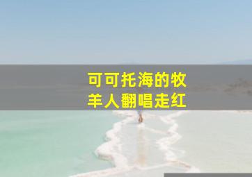 可可托海的牧羊人翻唱走红