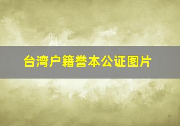 台湾户籍誊本公证图片