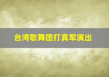 台湾歌舞团打真军演出