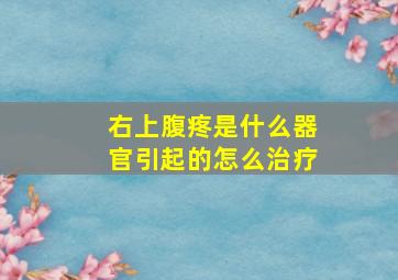 右上腹疼是什么器官引起的怎么治疗