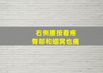 右侧腰按着疼臀部和蝈窝也痛