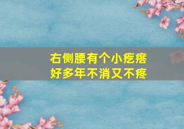 右侧腰有个小疙瘩好多年不消又不疼