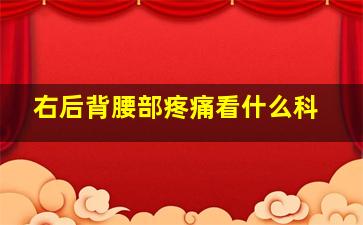 右后背腰部疼痛看什么科