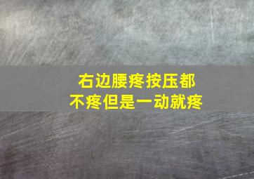 右边腰疼按压都不疼但是一动就疼