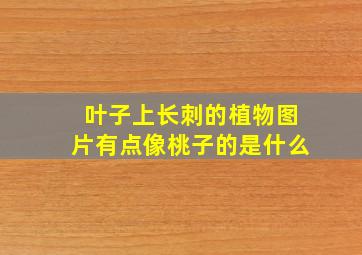 叶子上长刺的植物图片有点像桃子的是什么