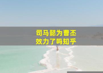 司马懿为曹丕效力了吗知乎