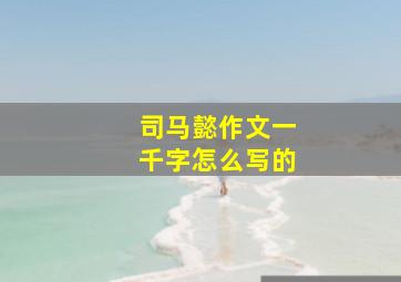 司马懿作文一千字怎么写的