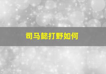 司马懿打野如何