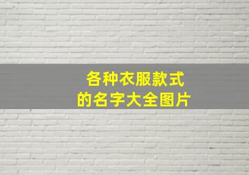 各种衣服款式的名字大全图片