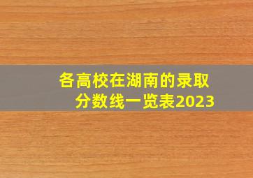 各高校在湖南的录取分数线一览表2023