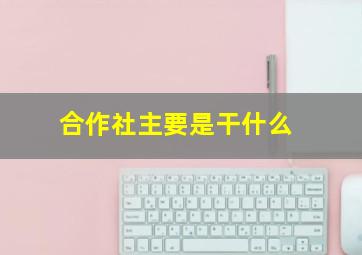 合作社主要是干什么