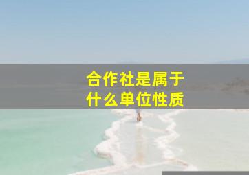 合作社是属于什么单位性质