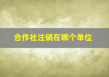 合作社注销在哪个单位