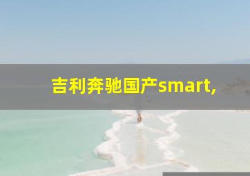 吉利奔驰国产smart,