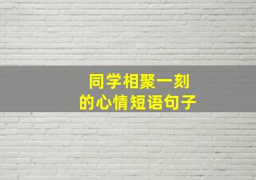 同学相聚一刻的心情短语句子