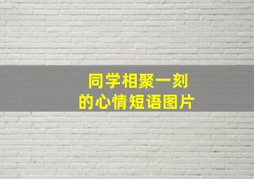 同学相聚一刻的心情短语图片