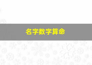 名字数字算命