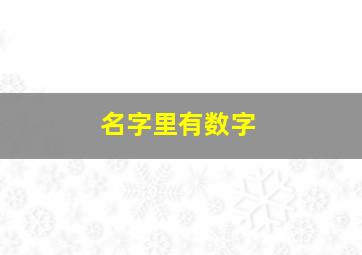 名字里有数字