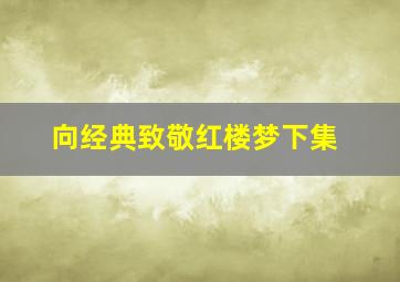 向经典致敬红楼梦下集