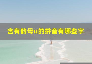 含有韵母u的拼音有哪些字