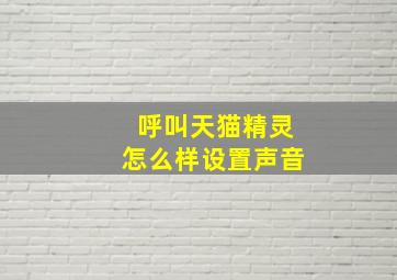 呼叫天猫精灵怎么样设置声音