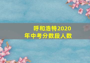 呼和浩特2020年中考分数段人数