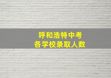 呼和浩特中考各学校录取人数