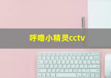 呼噜小精灵cctv