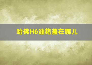 哈佛H6油箱盖在哪儿