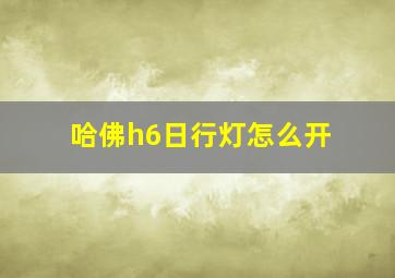 哈佛h6日行灯怎么开