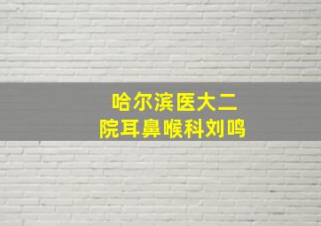 哈尔滨医大二院耳鼻喉科刘鸣