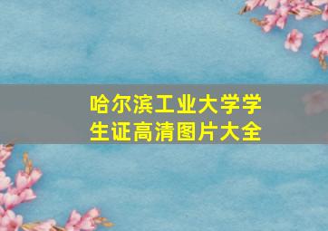 哈尔滨工业大学学生证高清图片大全