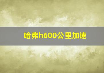 哈弗h600公里加速