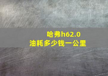 哈弗h62.0油耗多少钱一公里