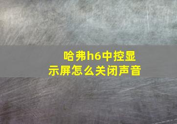 哈弗h6中控显示屏怎么关闭声音