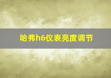 哈弗h6仪表亮度调节