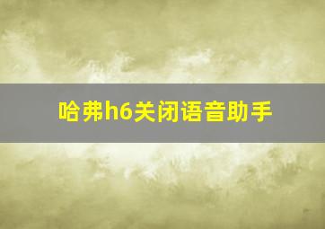 哈弗h6关闭语音助手