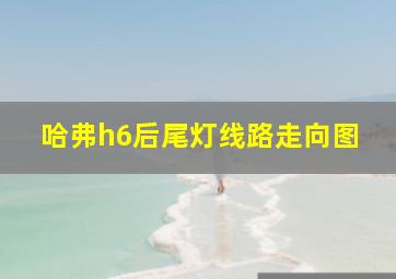 哈弗h6后尾灯线路走向图