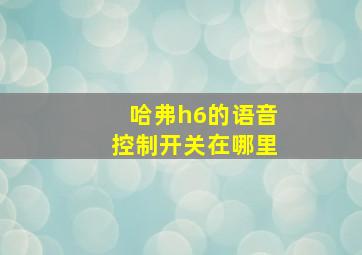 哈弗h6的语音控制开关在哪里