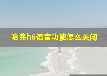 哈弗h6语音功能怎么关闭