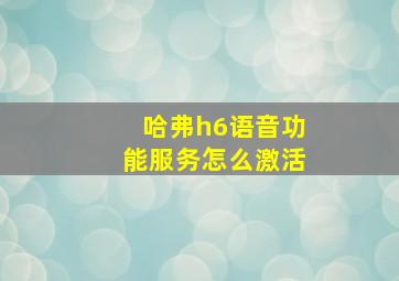 哈弗h6语音功能服务怎么激活