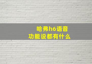 哈弗h6语音功能设都有什么